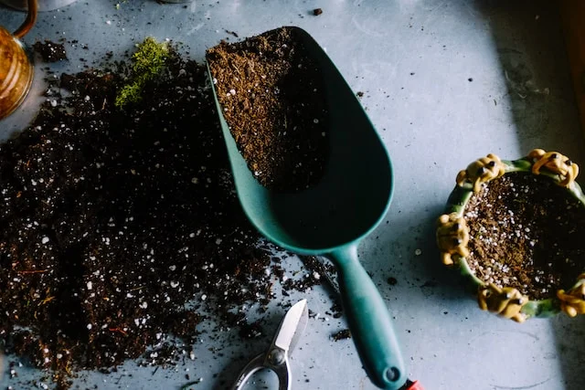 Composting in Spring